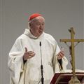 Cardinal Farrell during the Mass at the CL Fraternity Exercises (Roberto Masi/CL Fraternity)