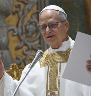 Pope Leo XIV at Mass with the Cardinals in the Sistine Chapel (Ansa/Epa/Vatican Media)