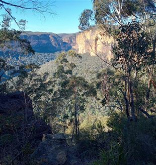 Blue Mountains, Sydney (photo B. O'Donnell)